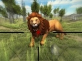 Lion Hunting 3D